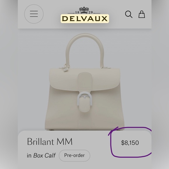 New $8,500 Delvaux Brilliant MM Box Calf Leather Rare Lilac Color Handbag - Picture 3 of 16